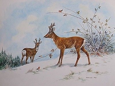 Nice Frances Fry Watercolour Painting - Roe Deer & Robins In A Snowy Landscape