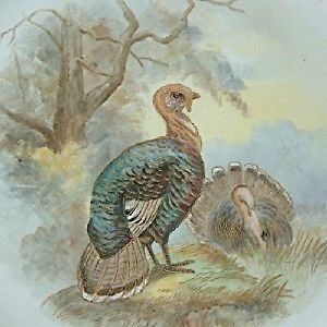 Antique Royal Worcester Vitreous Plate Turkeys / Birds