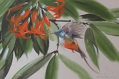 Delightful Edwin Penny Original Watercolour Painting - Hummingbird (Bird)