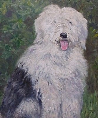 Superb Dorcie Sykes Oil Painting Portrait Of An Old English Sheepdog (Dulux Dog)