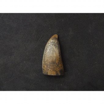 Antique Playing whale tooth