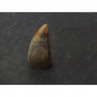 Antique Playing whale tooth