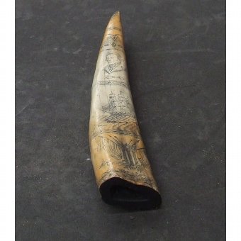 Antique Playing whale tooth. XIX Century
