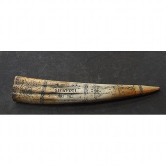 Antique Playing whale tooth. XIX Century