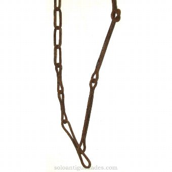 Antique Plegancia