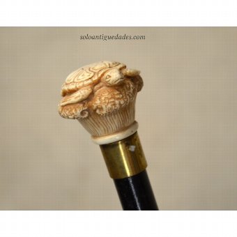 Antique Staff. Decorated with carved turtle