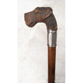 Antique Staff. With carved dog head
