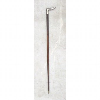 Antique Cane with gold tip