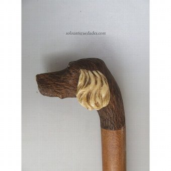 Antique Staff decorated with dog head