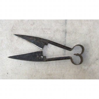 Antique Ancient shears
