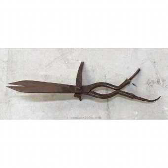 Antique Old iron scissors