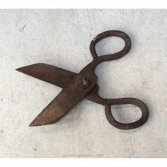 Antique Iron Scissors