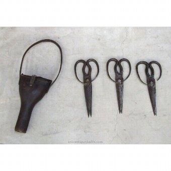 Antique Set of three iron scissors