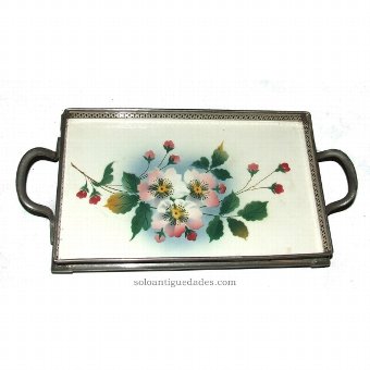 Antique Rectangular tray with plant