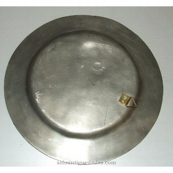 Antique Silver tray with plant