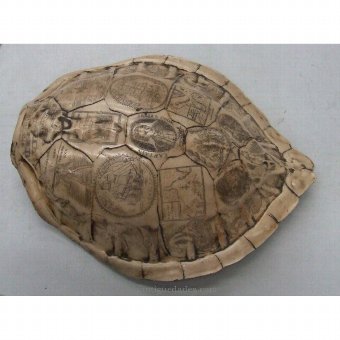 Antique Carved Tortoise Shell