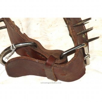 Antique Leather Spiked Carlanca
