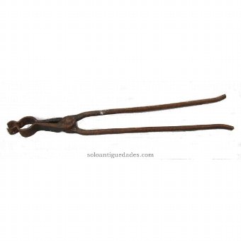Antique Pincers