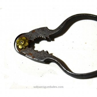Antique Double lever nutcracker pliers