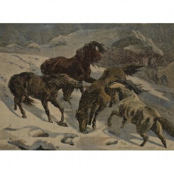 Antique Engraving "Wild Horses"