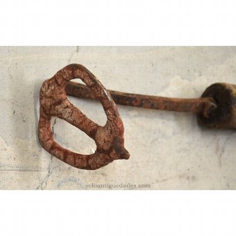 Iron livestock with triangular end with rounded corners