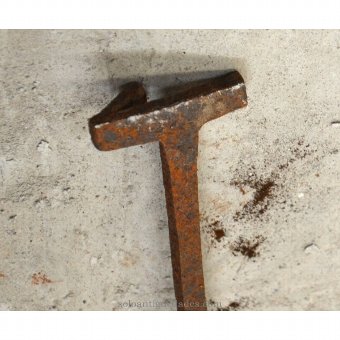 Iron in the form of livestock over one