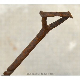 Iron rod livestock with 47.3 cm and 1 shaped end