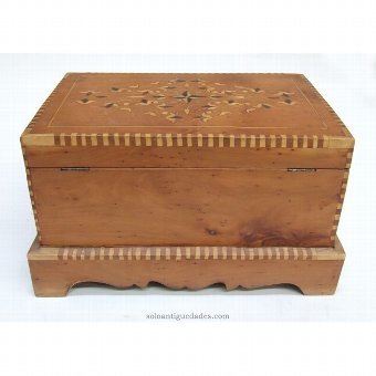Antique Trunk box with inlaid wood type collection