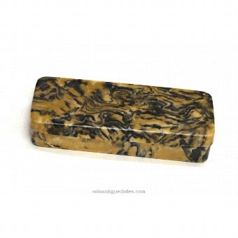 Small veined snuffbox