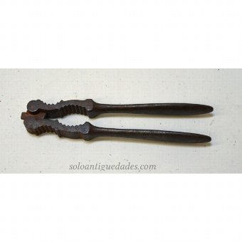 Nuts pliers with serrated hollow