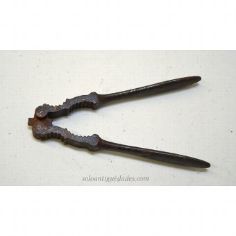 Antique Nuts pliers with serrated hollow