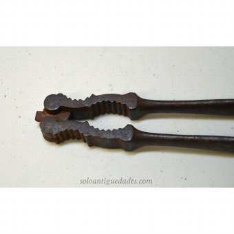 Antique Nuts pliers with serrated hollow