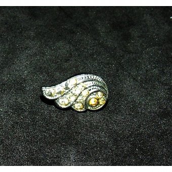 Silver earring shaped shell