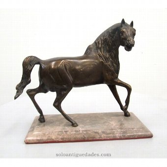 Horse bronze sculpture
