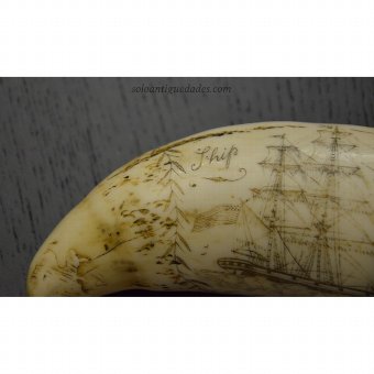 Antique Commemorative whale tooth