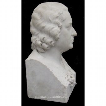Antique Female bust neoclassical