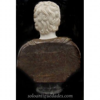 Antique Renaissance male Bust