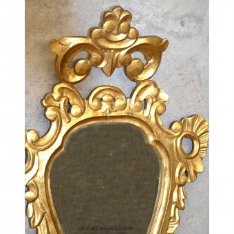 Antique Cornucopia belonging to baroque frame decorated with vegetable elements