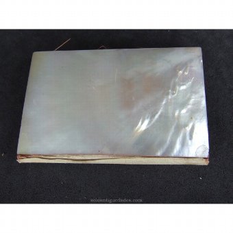 Antique Carved mother of pearl Agenda