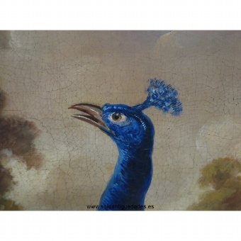 Antique Oil on wood with peacock