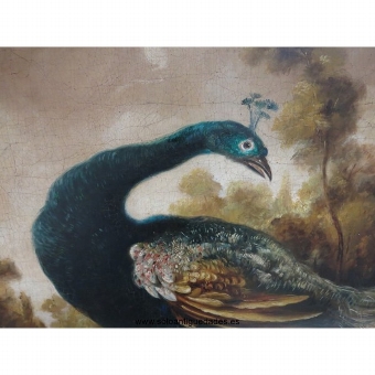 Antique Oil on board with scenery and Peacock