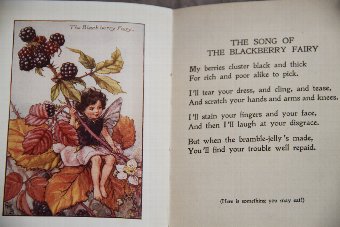 Antique Flower fairies of the Autumn, children`s book. Fairys.
