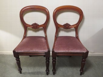 Pair Victorian Mahogany Balloon Back Side Chair