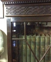 Antique Astral Diamond 2 Door Glazed Bookcase