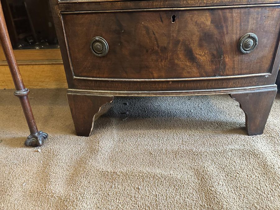 Antique Mahogany Bow Tallboy Chest of Draws