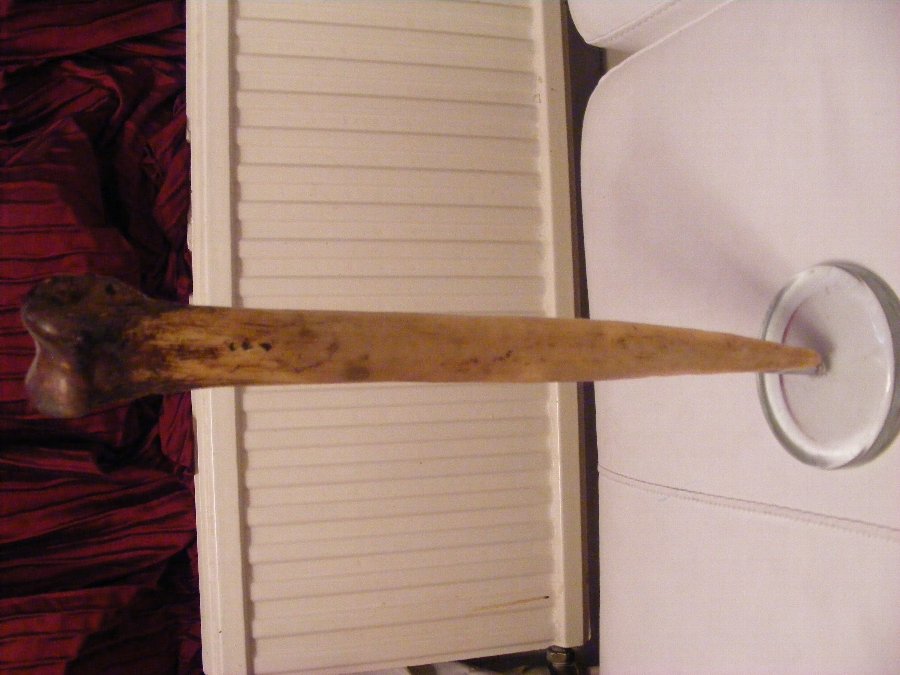 cassowary tribal bone dagger