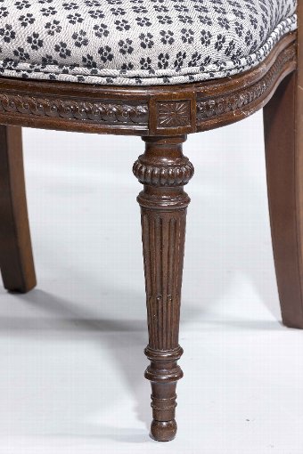Antique Set of Ten 19th Century Mahogany and Satinwood Dining Chairs