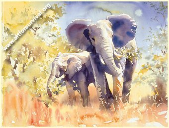 Collection of 9 NEW Wildlife High Quality Framed Prints By Eminent Artists - Price Reduced!