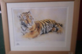 Antique Collection of 9 NEW Wildlife High Quality Framed Prints By Eminent Artists - Price Reduced!