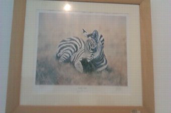 Antique Collection of 9 NEW Wildlife High Quality Framed Prints By Eminent Artists - Price Reduced!